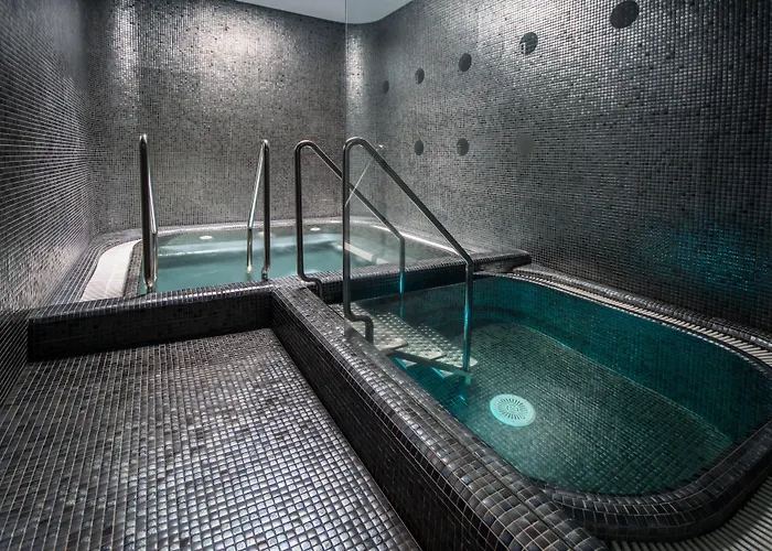 Prezident Luxury & Wellness מלון קרלובי וארי