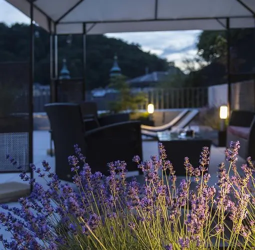 Otel Prezident Luxury & Wellness Karlovy Vary