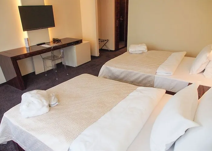 Prezident Luxury & Wellness 4* קרלובי וארי